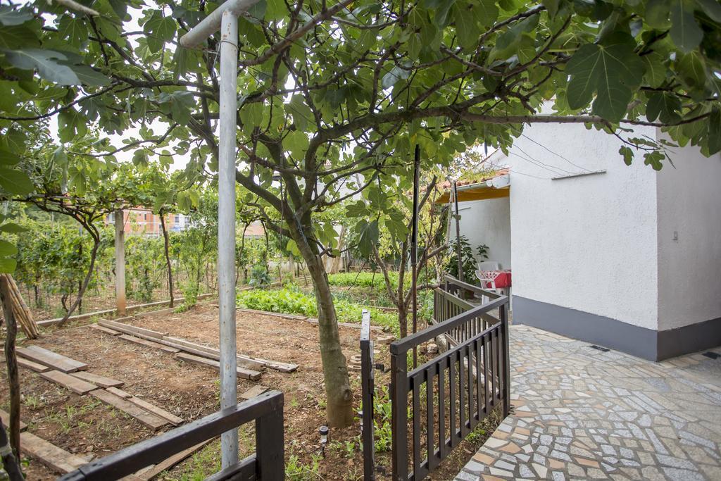 Apartments Pula 1618 Экстерьер фото